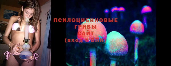каннабис Покачи