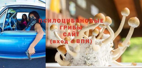 метадон Алексеевка